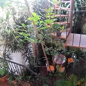 jungle-chill.guatemalaantiguahotels.com/